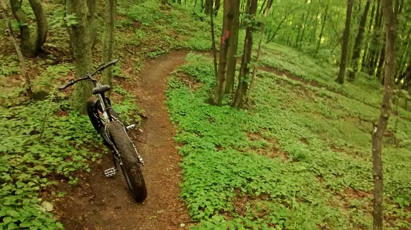 arcadia dune moutain bike trail